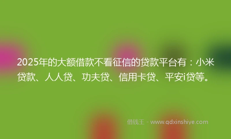 2025年的大额借款不看征信的贷款平台有：小米贷款、人人贷、功夫贷、信用卡贷、平安i贷等。