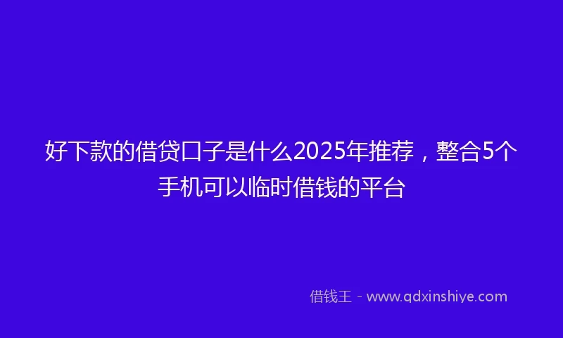 好下款的借贷口子是什么2025年推荐，整合5个手机可以临时借钱的平台