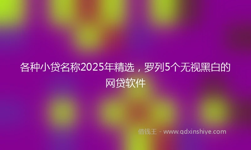 各种小贷名称2025年精选，罗列5个无视黑白的网贷软件