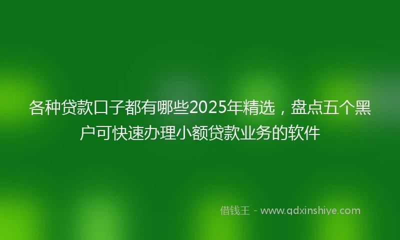 各种贷款口子都有哪些2025年精选，盘点五个黑户可快速办理小额贷款业务的软件