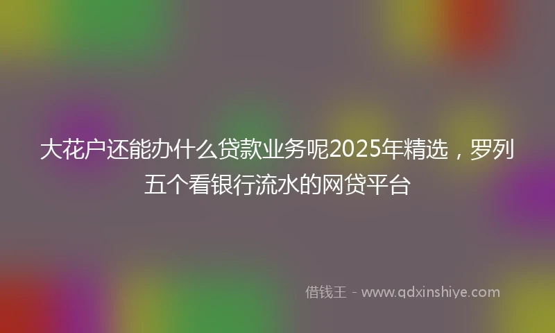 大花户还能办什么贷款业务呢2025年精选，罗列五个看银行流水的网贷平台