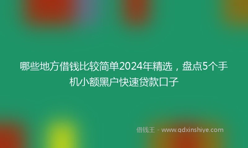 哪些地方借钱比较简单2024年精选，盘点5个手机小额黑户快速贷款口子