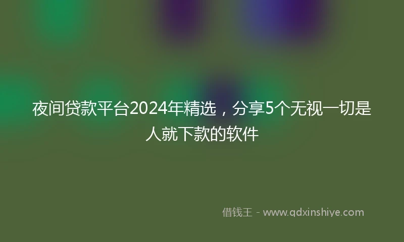 夜间贷款平台2024年精选，分享5个无视一切是人就下款的软件
