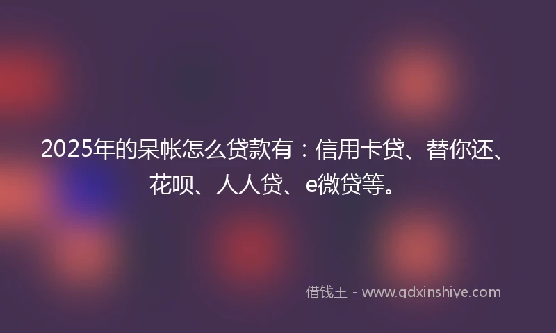 2025年的呆帐怎么贷款有：信用卡贷、替你还、花呗、人人贷、e微贷等。