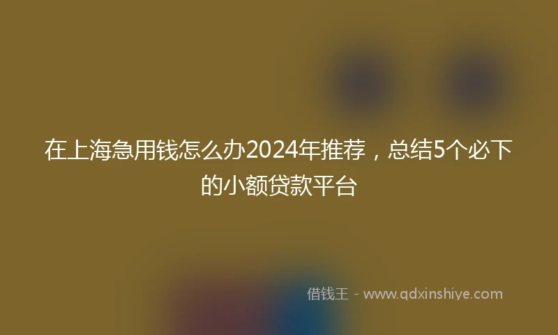 在上海急用钱怎么办2024年推荐，总结5个必下的小额贷款平台