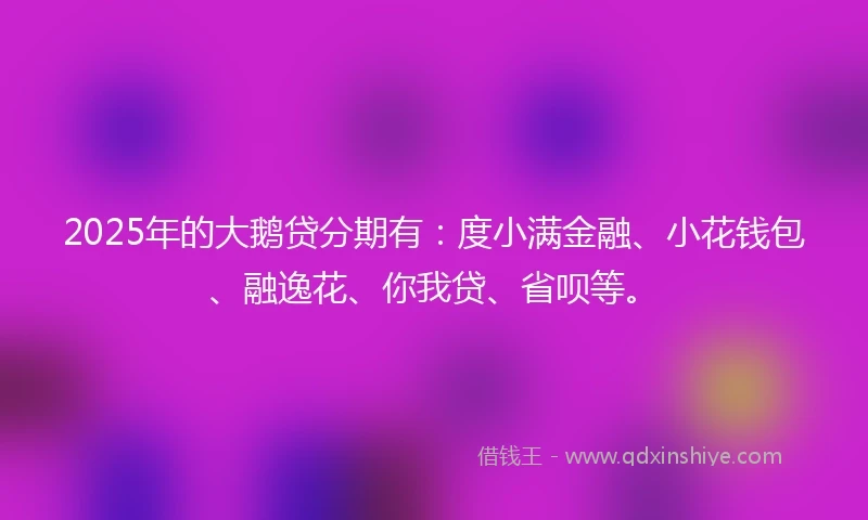 2025年的大鹅贷分期有：度小满金融、小花钱包、融逸花、你我贷、省呗等。