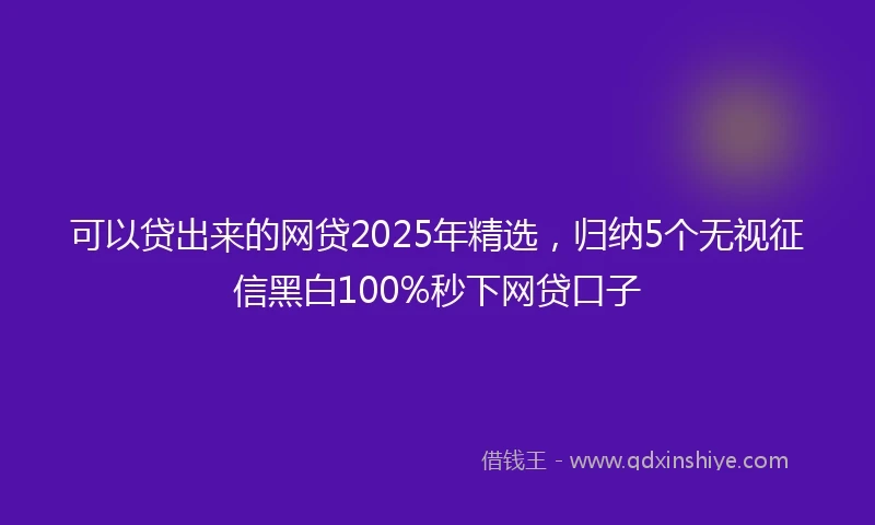 可以贷出来的网贷2025年精选，归纳5个无视征信黑白100%秒下网贷口子