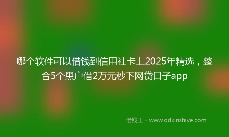 哪个软件可以借钱到信用社卡上2025年精选，整合5个黑户借2万元秒下网贷口子app