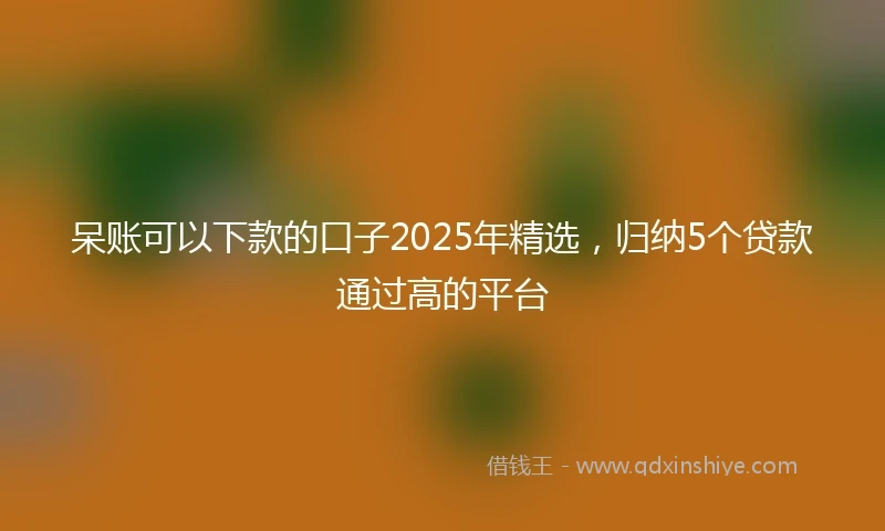呆账可以下款的口子2025年精选，归纳5个贷款通过高的平台