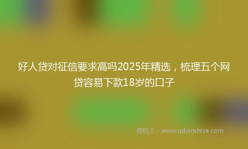 好人贷对征信要求高吗2025年精选，梳理五个网贷容易下款18岁的口子