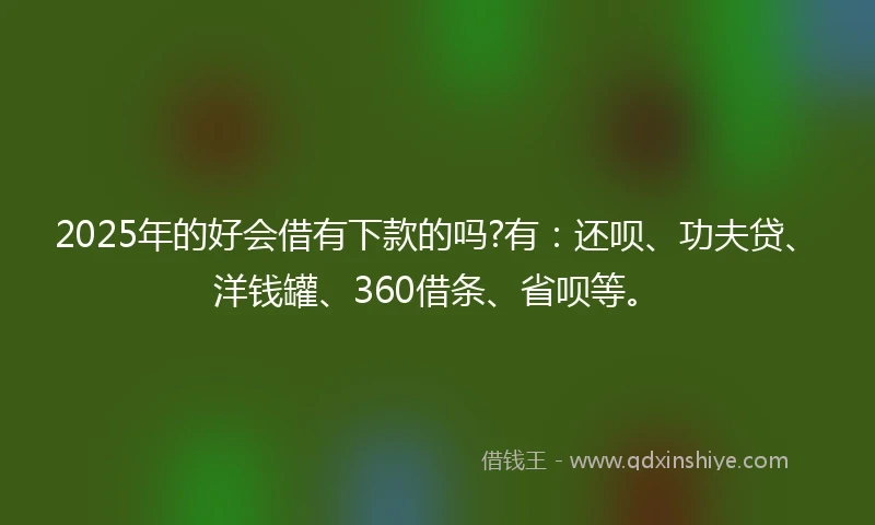 2025年的好会借有下款的吗?有：还呗、功夫贷、洋钱罐、360借条、省呗等。