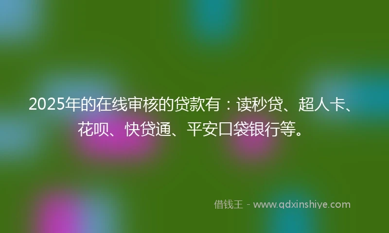 2025年的在线审核的贷款有：读秒贷、超人卡、花呗、快贷通、平安口袋银行等。