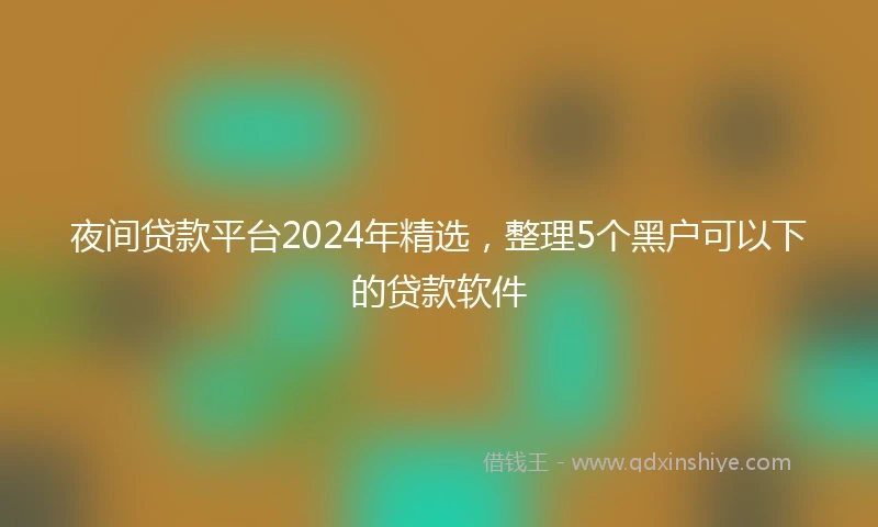 夜间贷款平台2024年精选，整理5个黑户可以下的贷款软件