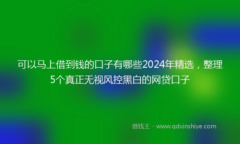 可以马上借到钱的口子有哪些2024年精选，整理5个真正无视风控黑白的网贷口子