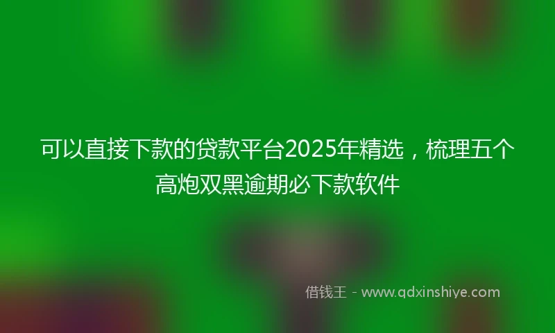 可以直接下款的贷款平台2025年精选，梳理五个高炮双黑逾期必下款软件