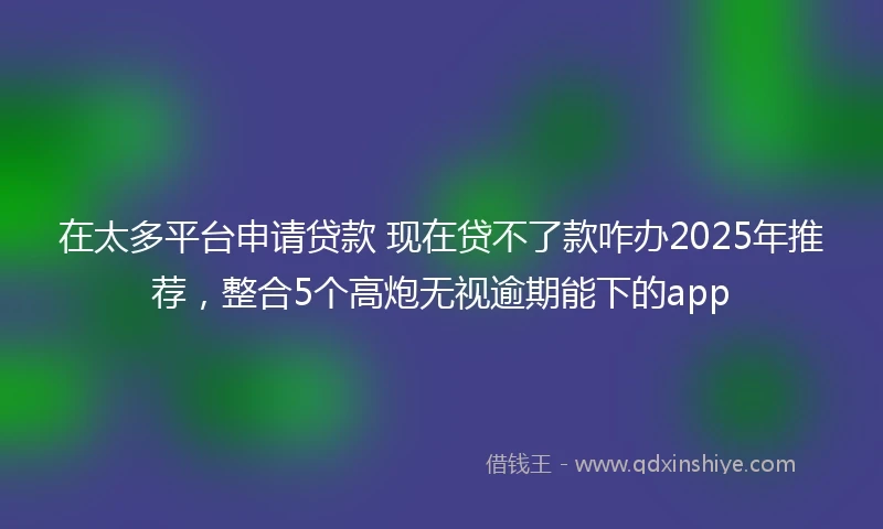 在太多平台申请贷款 现在贷不了款咋办2025年推荐，整合5个高炮无视逾期能下的app