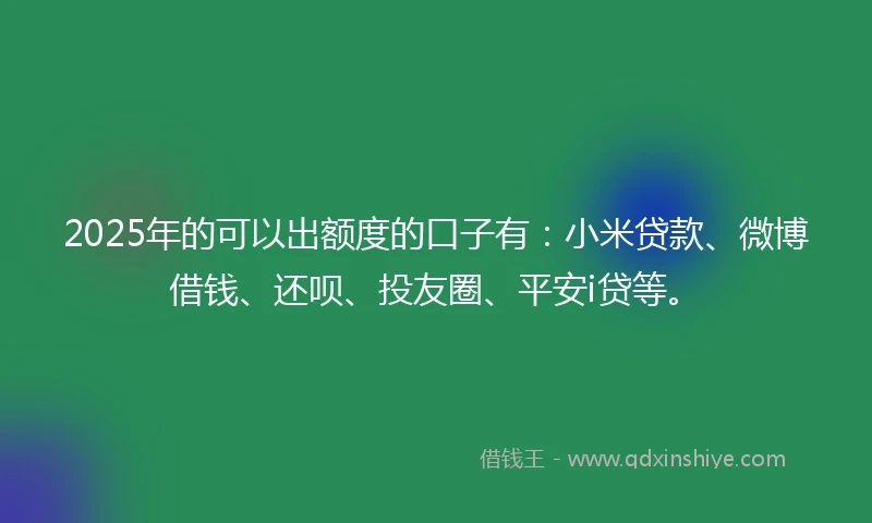 2025年的可以出额度的口子有：小米贷款、微博借钱、还呗、投友圈、平安i贷等。