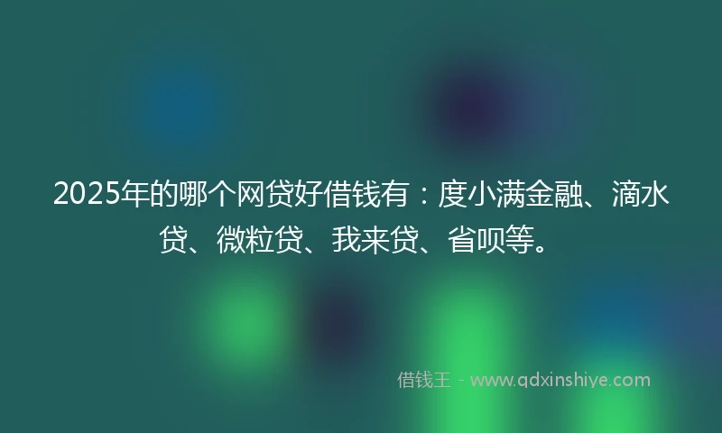 2025年的哪个网贷好借钱有：度小满金融、滴水贷、微粒贷、我来贷、省呗等。