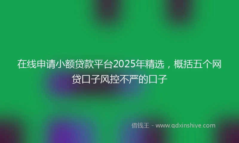 在线申请小额贷款平台2025年精选，概括五个网贷口子风控不严的口子