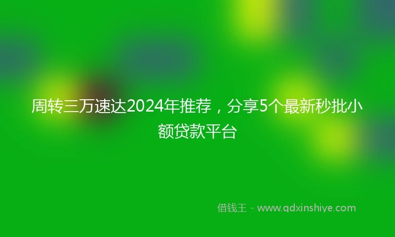 周转三万速达2024年推荐，分享5个最新秒批小额贷款平台