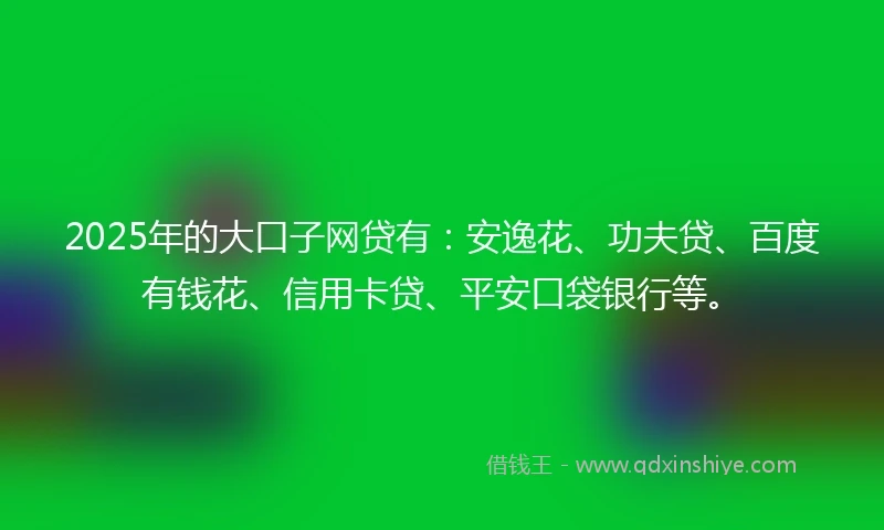 2025年的大口子网贷有：安逸花、功夫贷、百度有钱花、信用卡贷、平安口袋银行等。