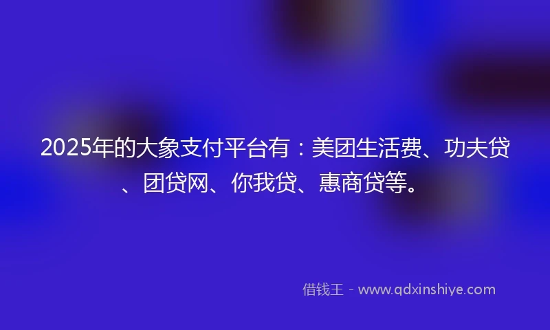 2025年的大象支付平台有：美团生活费、功夫贷、团贷网、你我贷、惠商贷等。