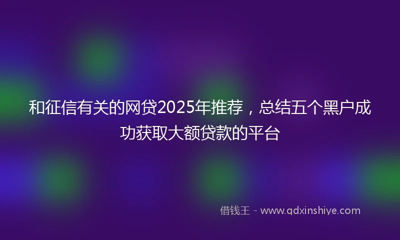和征信有关的网贷2025年推荐，总结五个黑户成功获取大额贷款的平台