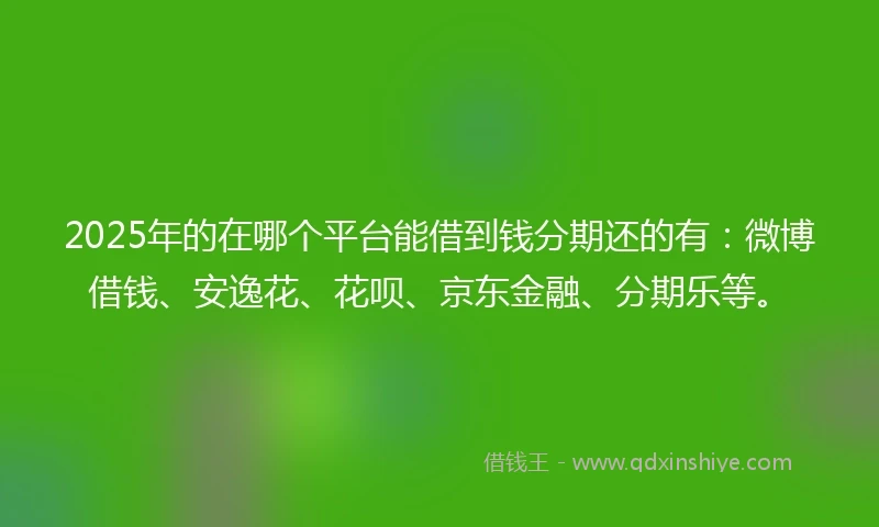 2025年的在哪个平台能借到钱分期还的有：微博借钱、安逸花、花呗、京东金融、分期乐等。