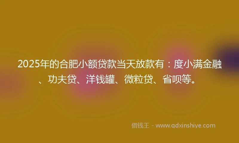 2025年的合肥小额贷款当天放款有：度小满金融、功夫贷、洋钱罐、微粒贷、省呗等。