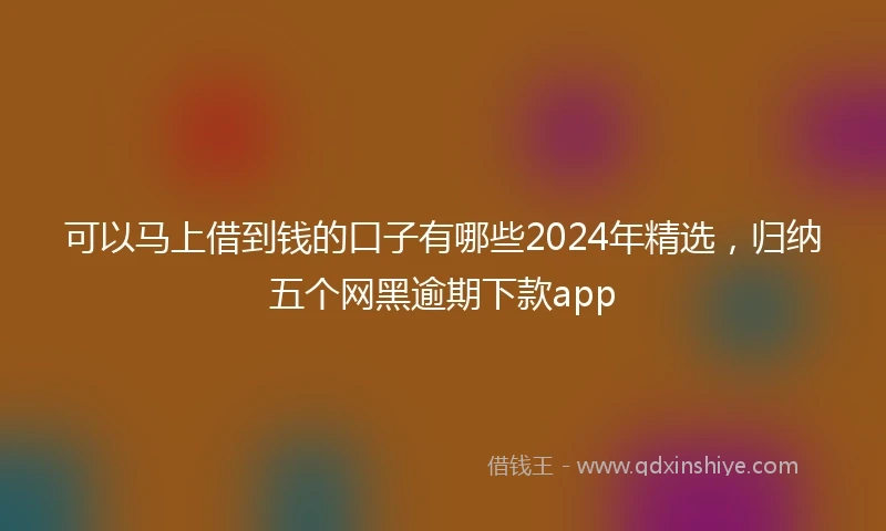 可以马上借到钱的口子有哪些2024年精选，归纳五个网黑逾期下款app