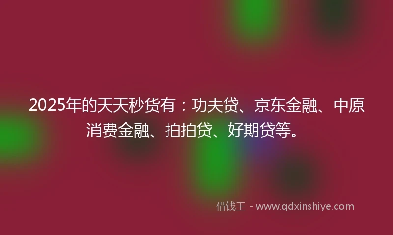 2025年的天天秒货有：功夫贷、京东金融、中原消费金融、拍拍贷、好期贷等。