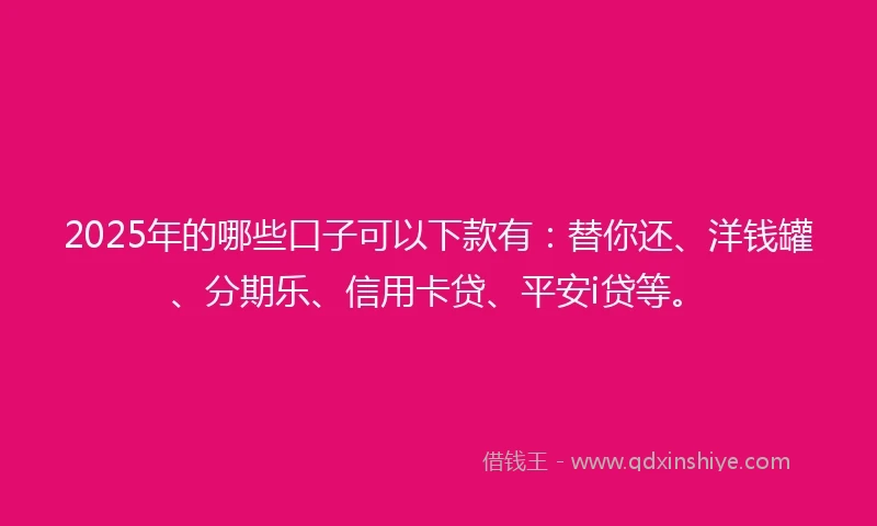2025年的哪些口子可以下款有：替你还、洋钱罐、分期乐、信用卡贷、平安i贷等。