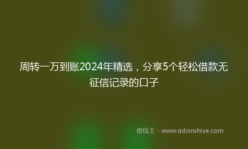 周转一万到账2024年精选，分享5个轻松借款无征信记录的口子