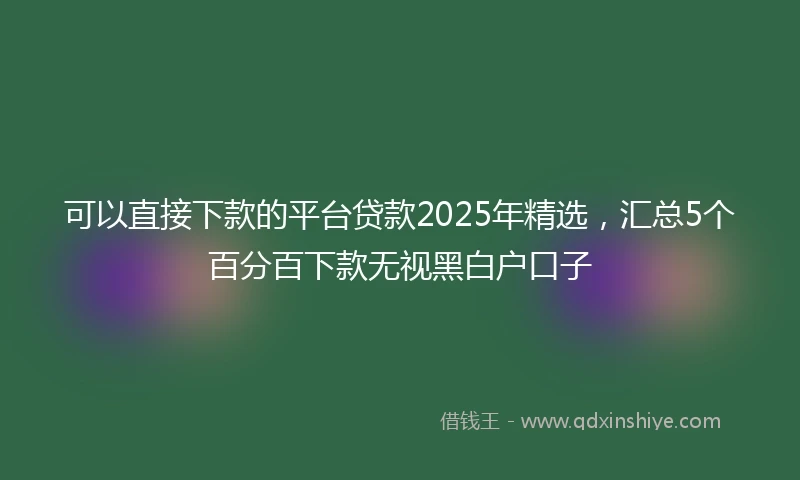 可以直接下款的平台贷款2025年精选，汇总5个百分百下款无视黑白户口子