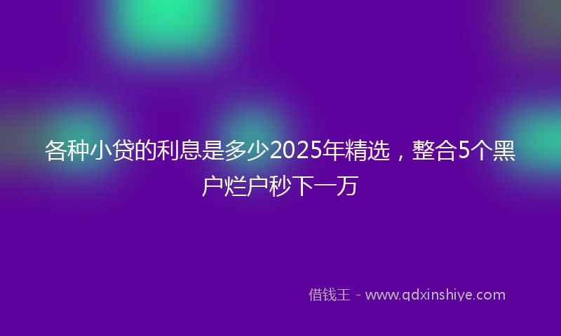 各种小贷的利息是多少2025年精选，整合5个黑户烂户秒下一万