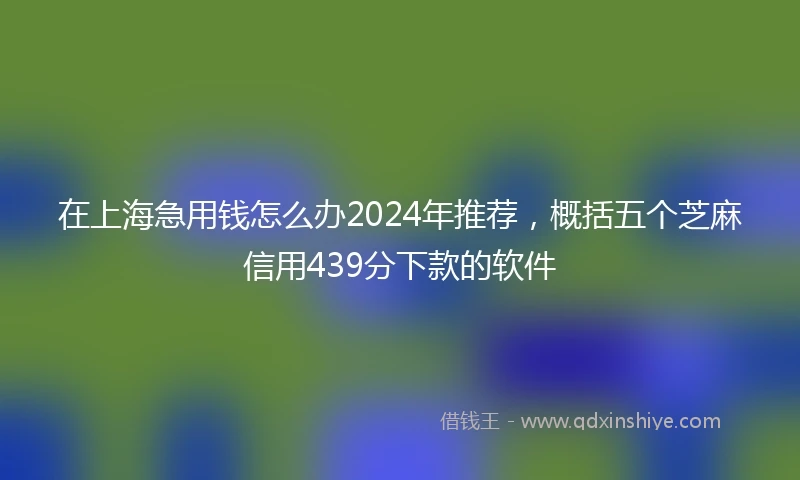 在上海急用钱怎么办2024年推荐，概括五个芝麻信用439分下款的软件