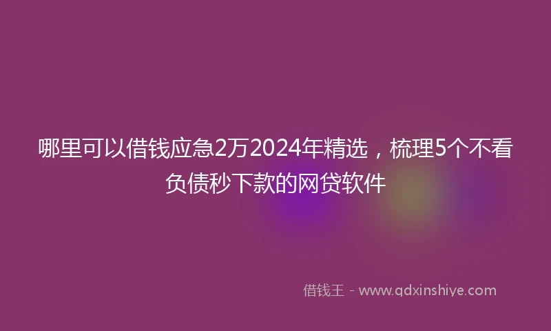 哪里可以借钱应急2万2024年精选，梳理5个不看负债秒下款的网贷软件