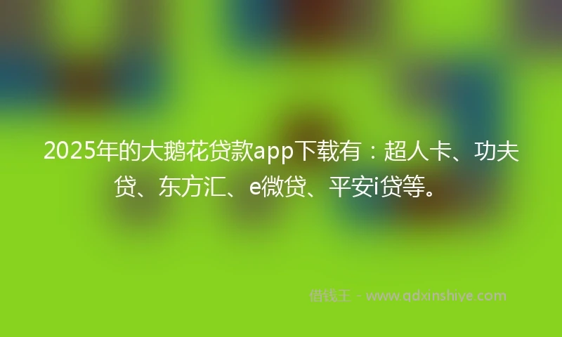 2025年的大鹅花贷款app下载有：超人卡、功夫贷、东方汇、e微贷、平安i贷等。
