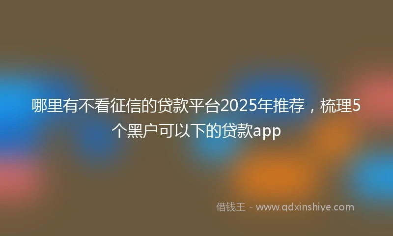 哪里有不看征信的贷款平台2025年推荐，梳理5个黑户可以下的贷款app