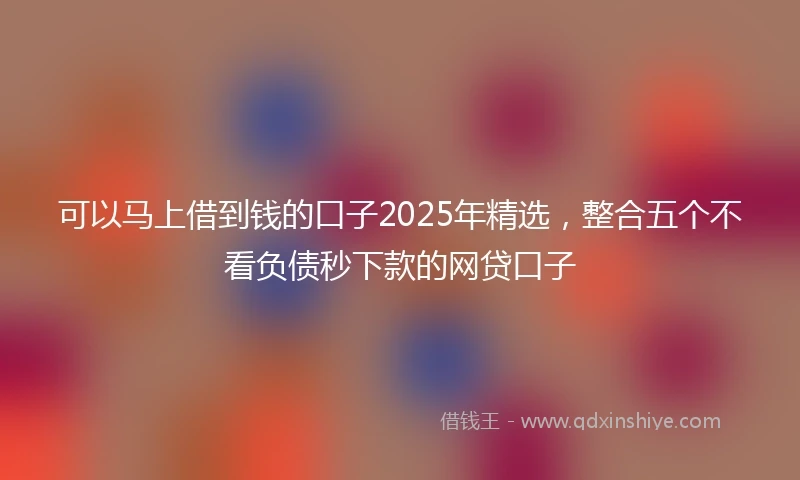 可以马上借到钱的口子2025年精选，整合五个不看负债秒下款的网贷口子
