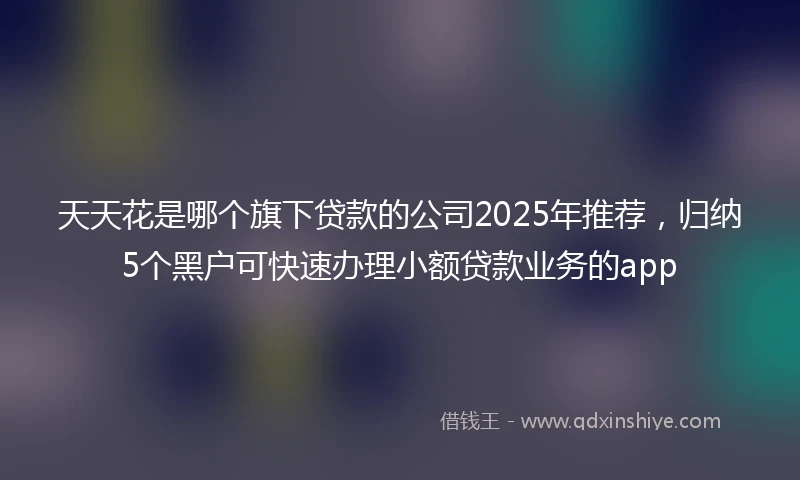 天天花是哪个旗下贷款的公司2025年推荐，归纳5个黑户可快速办理小额贷款业务的app