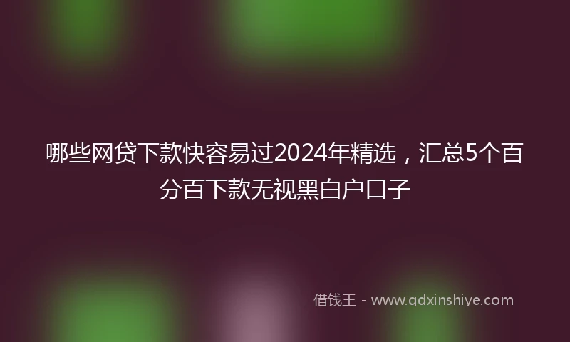 哪些网贷下款快容易过2024年精选,汇总5个百分百下款无视黑白户口子