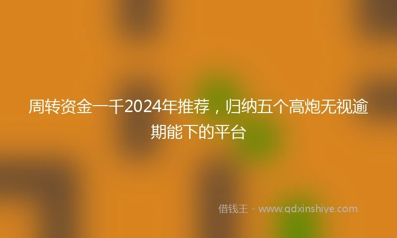周转资金一千2024年推荐，归纳五个高炮无视逾期能下的平台