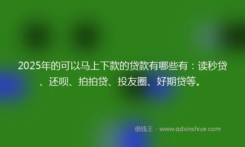 2025年的可以马上下款的贷款有哪些有：读秒贷、还呗、拍拍贷、投友圈、好期贷等。