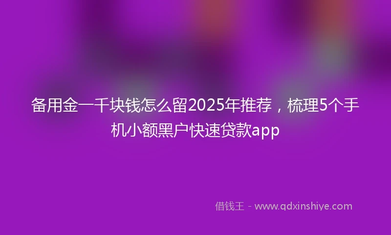 备用金一千块钱怎么留2025年推荐，梳理5个手机小额黑户快速贷款app