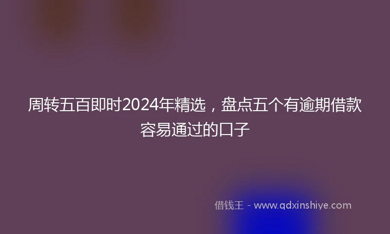 周转五百即时2024年精选，盘点五个有逾期借款容易通过的口子
