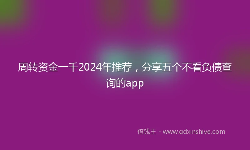 周转资金一千2024年推荐，分享五个不看负债查询的app