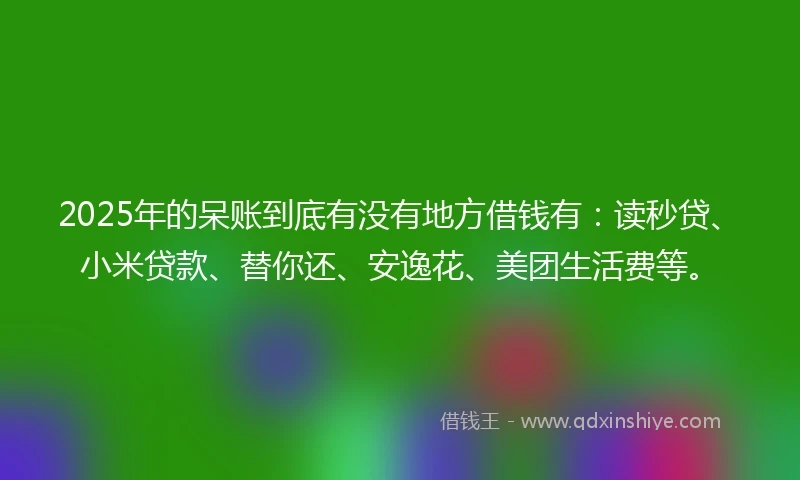 2025年的呆账到底有没有地方借钱有:读秒贷、小米贷款、替你还、安逸花、美团生活费等。