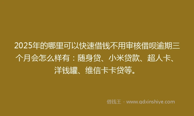 2025年的哪里可以快速借钱不用审核借呗逾期三个月会怎么样有：随身贷、小米贷款、超人卡、洋钱罐、维信卡卡贷等。