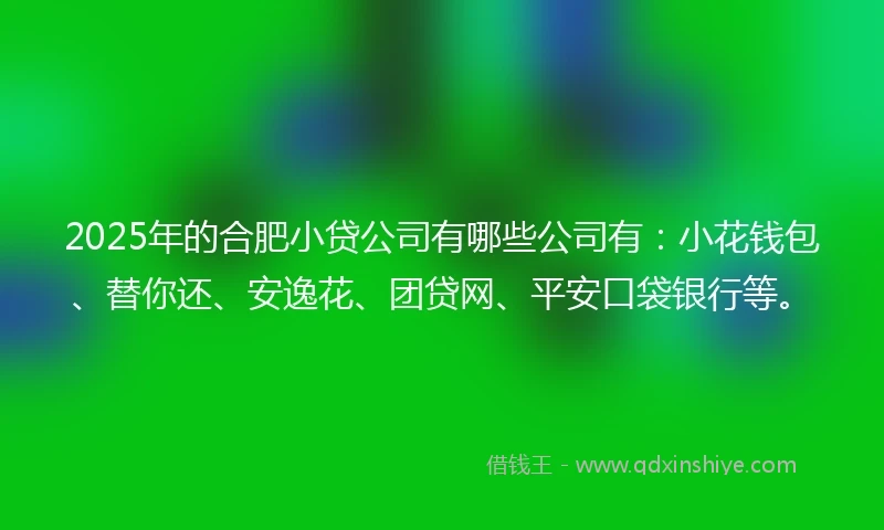 2025年的合肥小贷公司有哪些公司有：小花钱包、替你还、安逸花、团贷网、平安口袋银行等。
